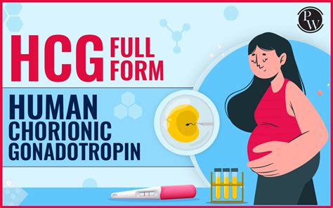 HCG .